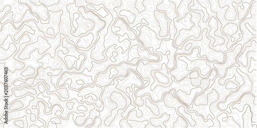 Bild auf Leinwand Topographic map design with wavy lines and contours on white background_1