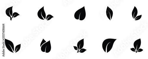 Tablou pe pânză Natural Black leaf design elements isolated on a white background