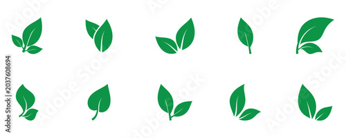 Fotografia Graphic environment plant leaf icon art illustration