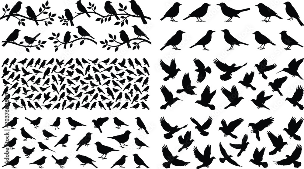 Fototapeta premium Collection of Bird Silhouette Vectors with Flying Perched and Standing Songbird Isolated Design Elements