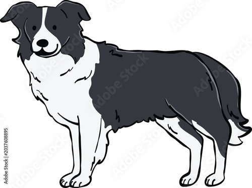Adorable Border Collie dog illustration in a standing side-view pose. Ideal for stickers, design elements, and creative projects