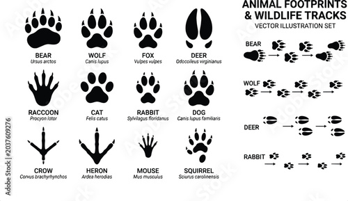 Canvas Print Animal Footprints and Wildlife Tracks Icon Set with Bear Wolf Fox Deer Raccoon C