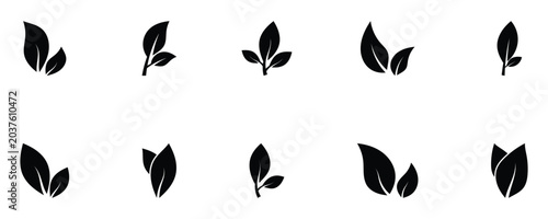 Bild auf Leinwand Leaf Shapes vector illustration on white background