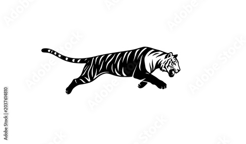 Photography Modern Tiger Predator Hunting Black Silhouette Vector Illustration with Wildlife