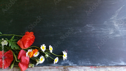Fresh flowers arranged on a blackboard background