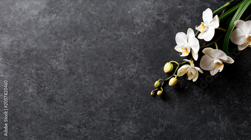 White Orchid Flowers on Textured Black Surface