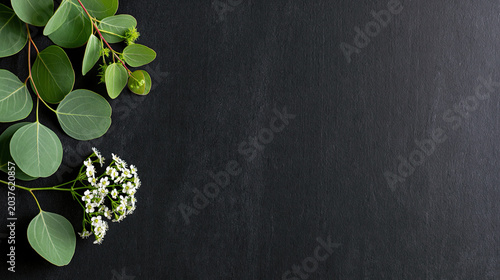 Fresh Green Leaves with White Flowers on Black Background