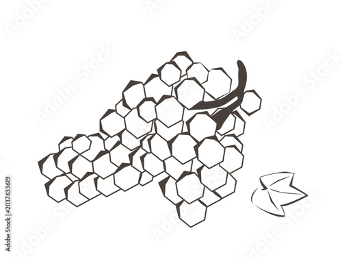 Fotografie Stylized bunch of grapes with leaf in minimal geometric outline vector style