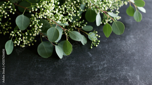Fresh Green Leaves with Small White Berries on Dark Background