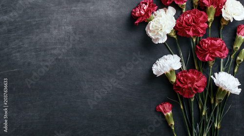Mixed Red and White Carnations on Dark Background