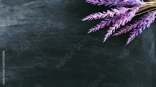 Lavender Bouquet on a Textured Black Chalkboard Background