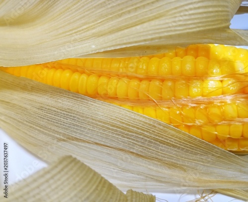 Bild auf Leinwand Fresh Sweet Corn Close Up with Husk Natural Organic Corn