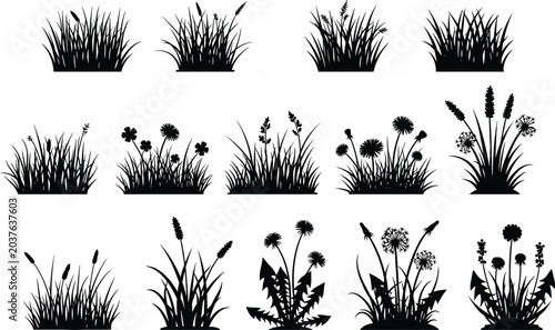 Black grass silhouette set with wild meadow plants, dandelion flowers and garden weeds vector illustration, nature landscape elements for outdoor scene design projects,