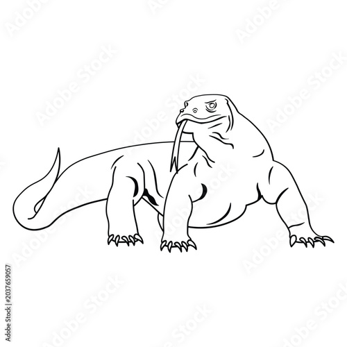 Cuadro en lienzo A detailed black and white line art illustration of a Komodo dragon with its tongue flicking out