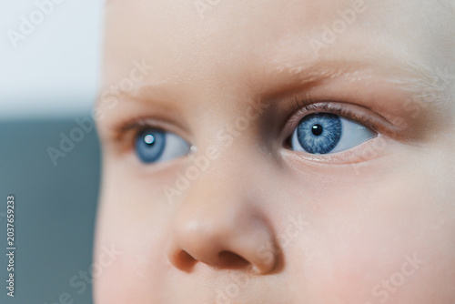Canvas-taulu Child watches attentively