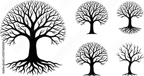 Photos Bare tree of life silhouettes and black graphic design elements set featuring leafless branches, deep roots, winter oak silhouettes, and round botanical family tree vector symbols