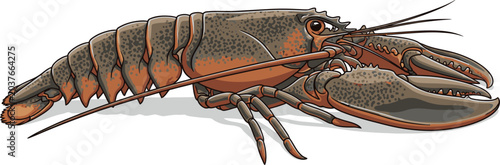 Cuadro en lienzo Adobe Illustrator Artwork