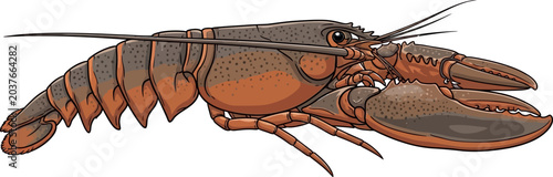 Photos Adobe Illustrator Artwork