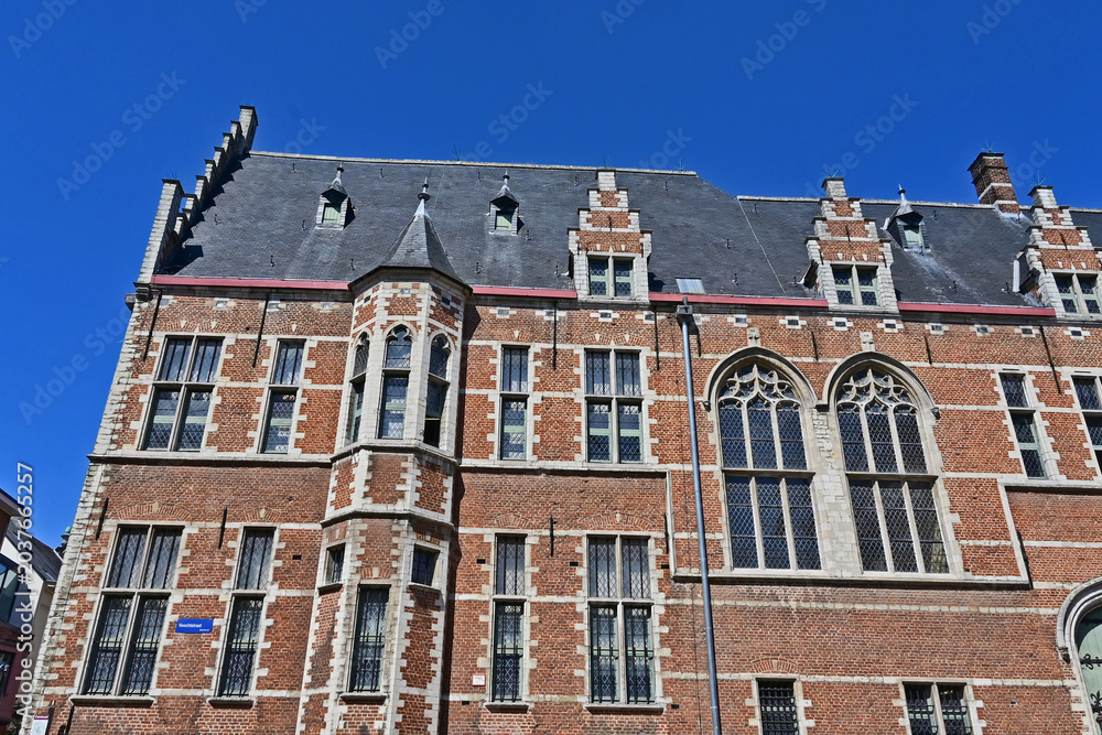 Obraz premium Malines (Mechelen): il Palazzo di Margherita d'Austria, noto anche come Hof van Savoye, Fiandre, Belgio