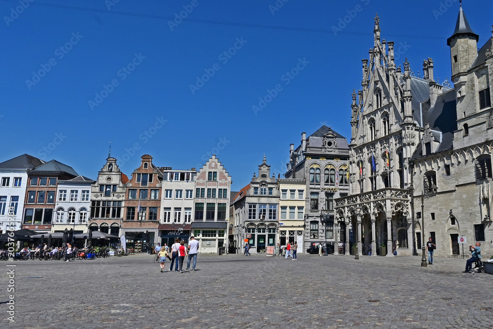 Obraz premium Malines (Mechelen): la Grote Markt (Piazza del Mercato), Fiandre, Belgio