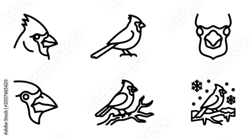 Fotografi Cardinal Bird Icon Set, Minimalist Line Art Vector Graphics, Nature Wildlife Ill