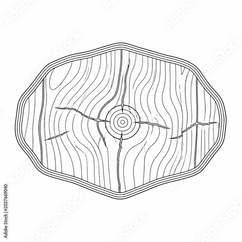 Stylized hand drawn illustration of a wooden cross section log.