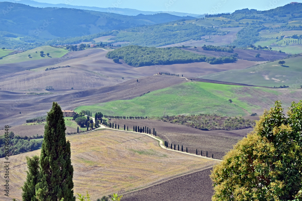 Obraz premium Pienza, le colline della Val d'Orcia dalla loggia di Palazzo Piccolomini, Val d'Orcia, Toscana
