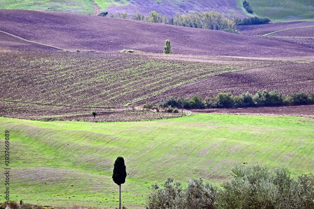 Naklejka premium Pienza, le colline della Val d'Orcia dalla loggia di Palazzo Piccolomini, Val d'Orcia, Toscana