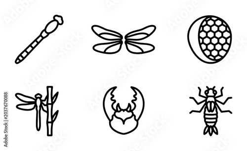Insect Icons Set: Dragonfly, Beetle, Cicada, Wings, Vector Graphics for Nature and Science