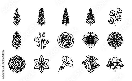 Botanical Line Art Collection: Delicate Floral Vector Elements, Hand-Drawn Botanical Illustrations for Design