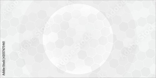 Abstract Minimalist White Circles Background with Luxury Style. Futuristic Circular Wallpaper. Vector Illustration