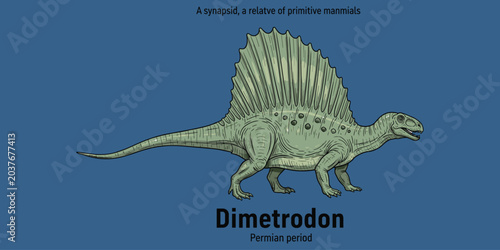 Dimetrodon, synapsid, relative of primitive mammals from Permian period.