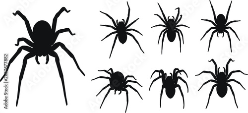 Bild auf Leinwand Black spider silhouettes on white background