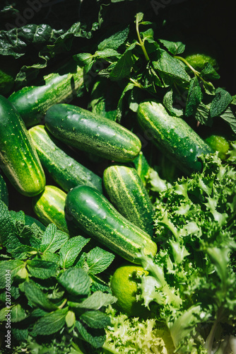 Cucumbers and green vegetables, freshly picked