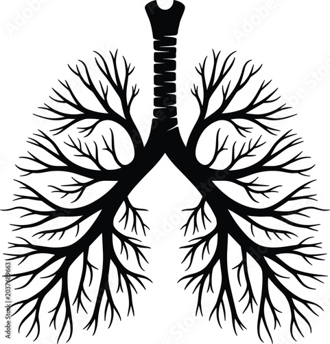 Photos Human lungs silhouette illustration, respiratory system with bronchial tree, med