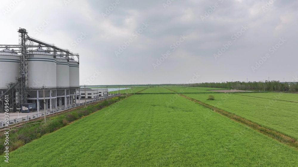 Naklejka premium Modern large grain storage facility next to green agricultural fields
