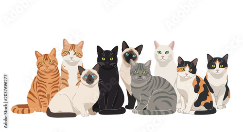 Cuadro en lienzo Group of cats in various colors.