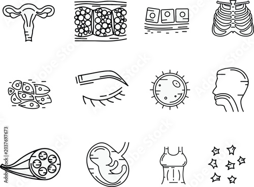 Bild auf Leinwand Human anatomy, histology, and biology vector icon set featuring line art illustr