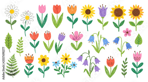 Foto Cute doodle flower collection with colorful hand drawn plants