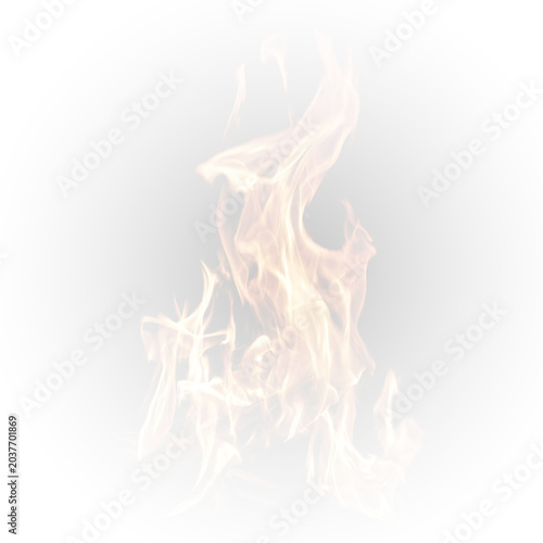 Bild auf Leinwand Burning fire flames on dark black background with hot glowing embers smoke and b