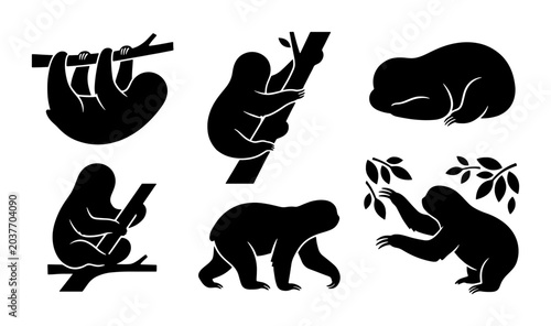 Foto Sloth Vector Icons, Cute Animal Silhouettes for Nature and Wildlife Graphics, Bl