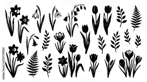 Foto Hand drawn black floral silhouettes and leaves vector set