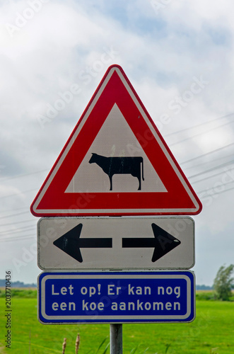 Foto Signs in a Dutch polder with a warning the cows may cross the path