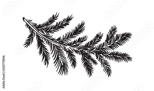 Christmas black tree branch, hand drawn	
