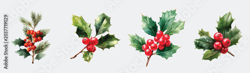 Photos Illustration of big Christmas holly berries painting design set, Hand-painted st