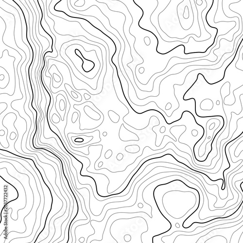 Abstract Topographic Contour Vector Background with Organic Terrain Lines, Minimal Monochrome Cartography Texture for Technology, Branding and Modern Design Projects