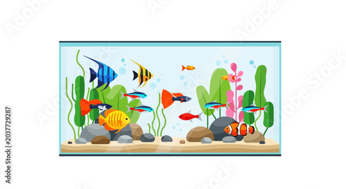 Vibrant Freshwater Aquarium with Diverse Fish Species.