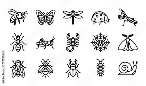 Bild auf Leinwand Insect Icons Set: Vector Illustrations of Bees, Butterflies, Dragonflies, Ladybu