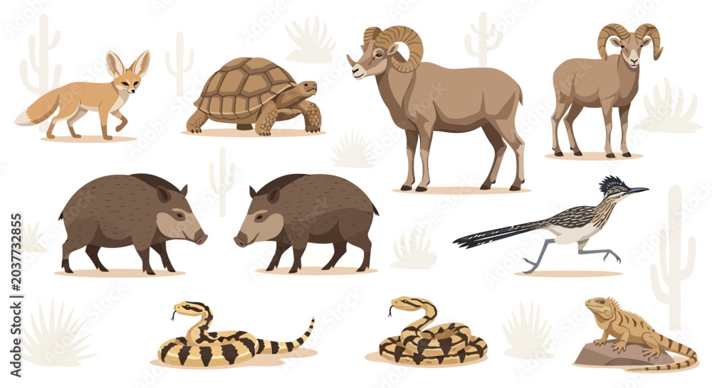 Obraz premium Desert Wildlife Animals Collection Set - Fennec Fox, Tortoise, Bighorn Sheep, Javelina, Roadrunner