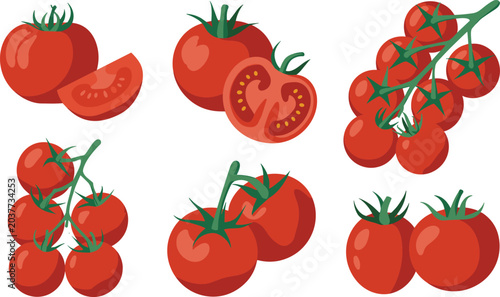 Fresh red tomato vegetable collection isolated on white background with different cut styles